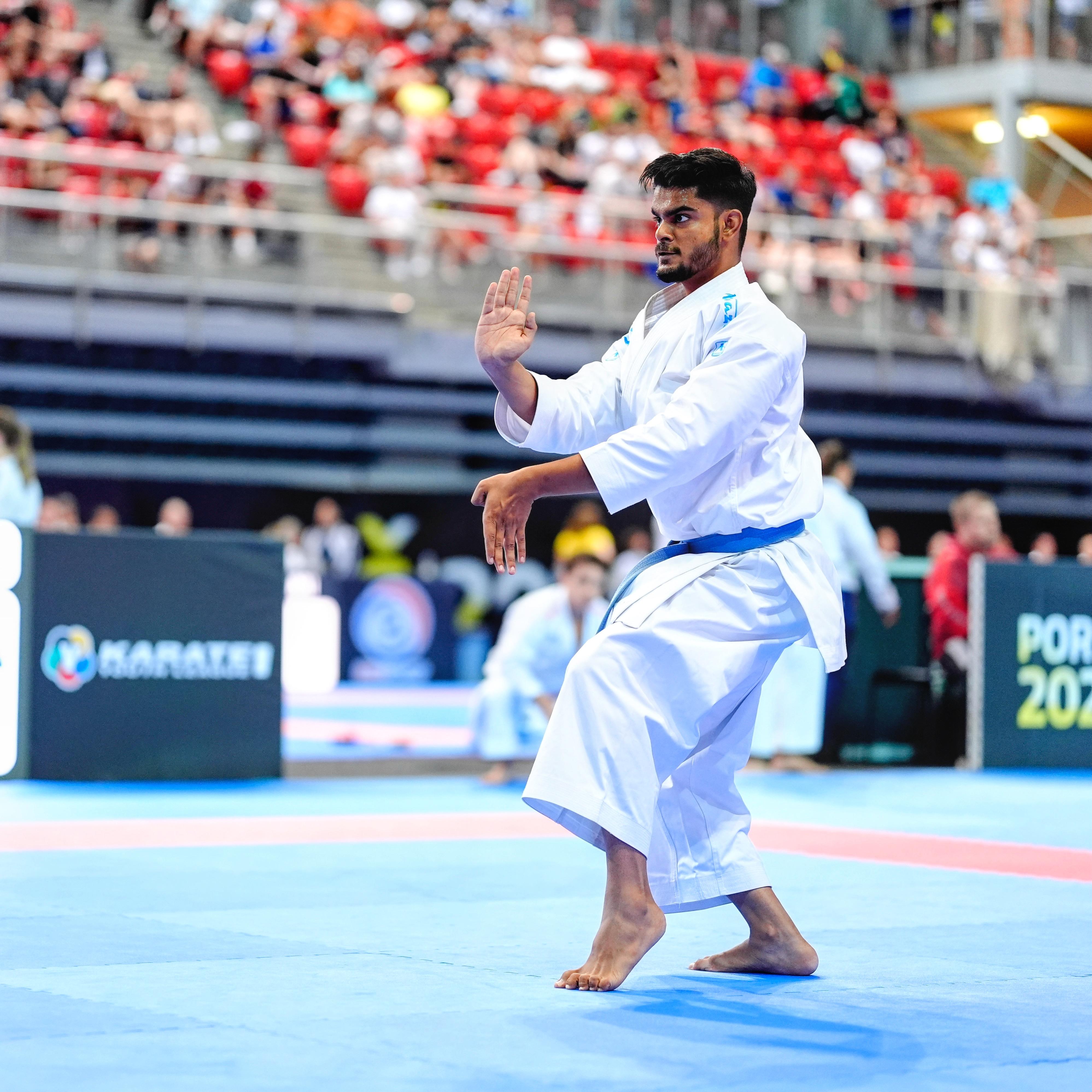 Sensei Sarthak Arya